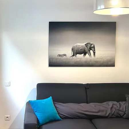 Climatise Au Coeur D - A Pied Des Plages Et Du Centre